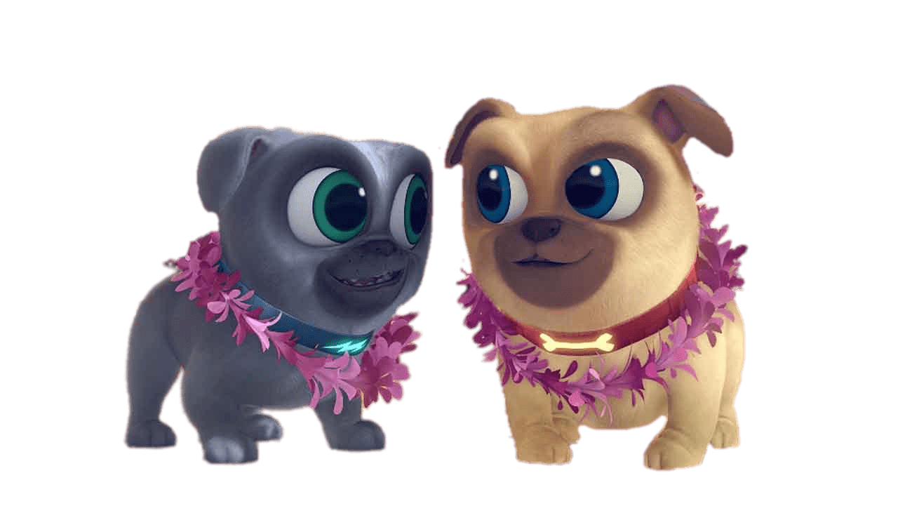 Perritos con collar de flores
