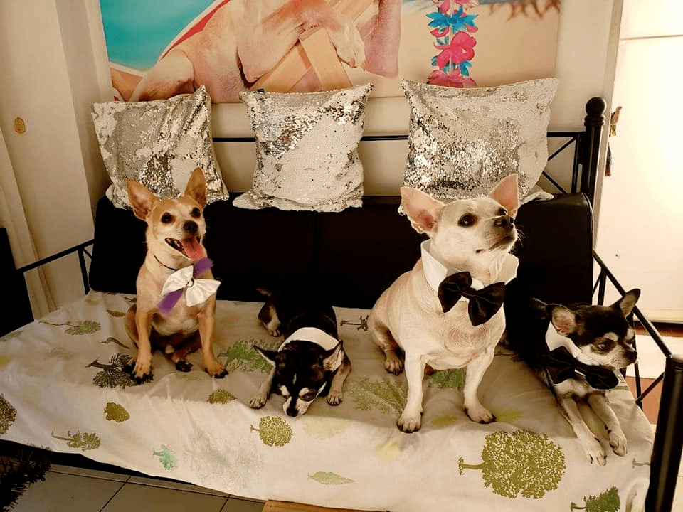 Foto de feliz año en familia